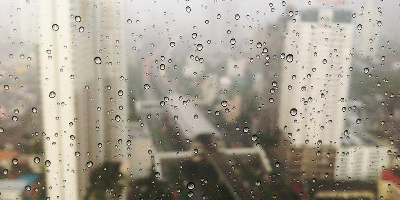 2024美容护肤趋势解析：自然美容崛起与科学护肤的完美融合