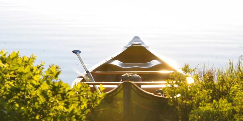 B维纳斯:探索自然美容的护肤哲学,唤醒肌肤本源之美