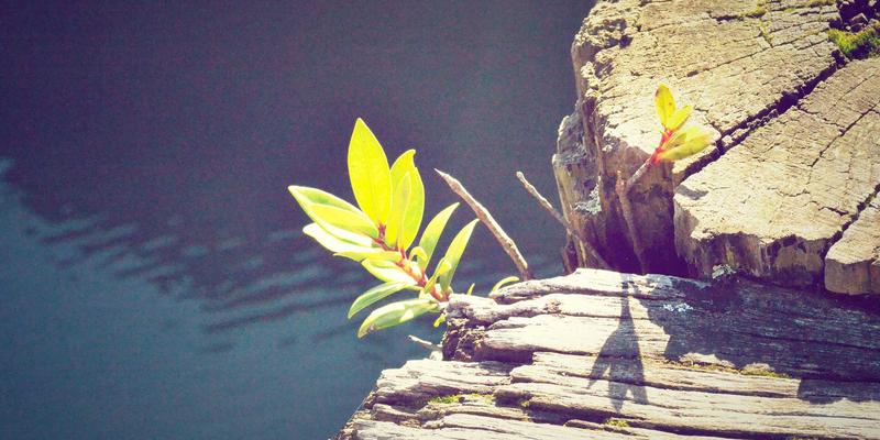 刷酸焕肤入门指南：从产品选择到建立耐受的完整护肤技巧