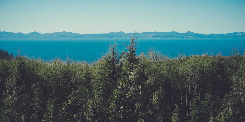 化妆品与自然美容的平衡之道:一份理性美妆评测指南