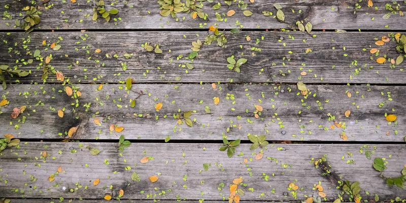 干性皮肤冬季保湿面膜全攻略：专业评测与天然自制技巧