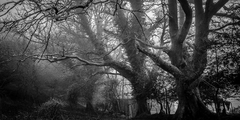 护肤技巧大揭秘：烟酰胺、维C、视黄醇的黄金搭档与烂脸组合