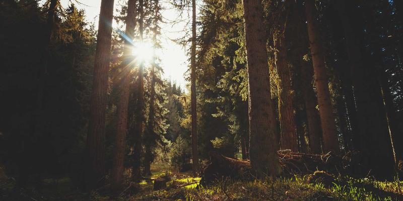 护肤技巧新维度：揭秘头皮护理与面部肌肤健康的深层关联，B维纳斯倡导自然美容新理念