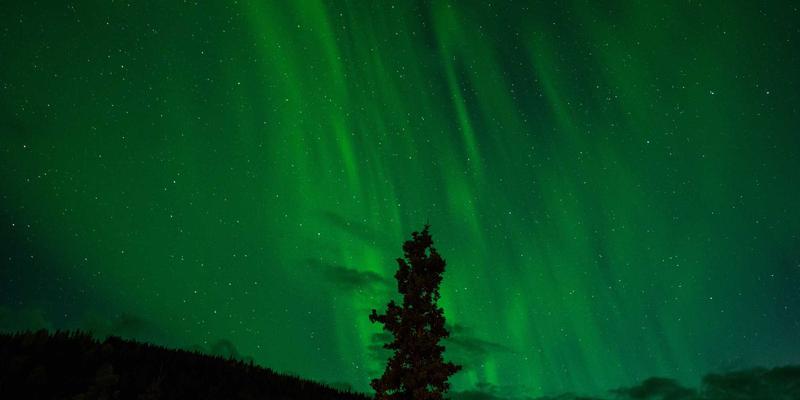 男士油性肌肤剃须后舒缓保湿全攻略：B维纳斯自然美容护肤技巧