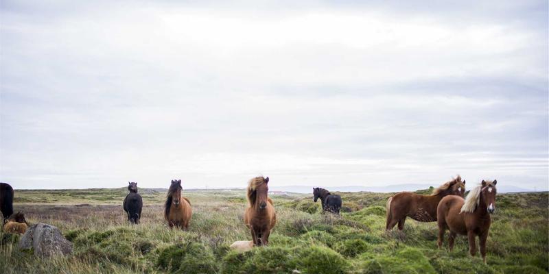 科学护肤新主张:揭秘化妆品选择与护肤技巧的黄金法则