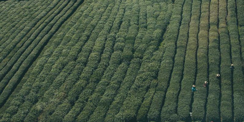 美容护肤与美妆评测:科学选择化妆品,开启高效护肤之旅