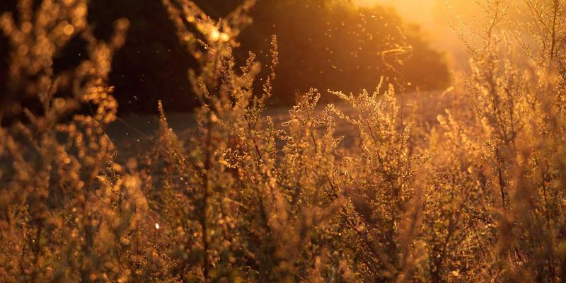 美容护肤全攻略：从科学护肤到美妆评测，打造健康发光肌