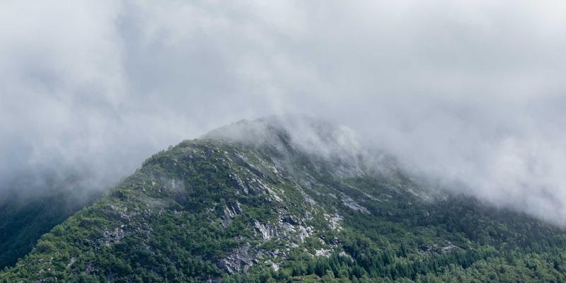 美容护肤全攻略：科学选择化妆品与掌握核心护肤技巧