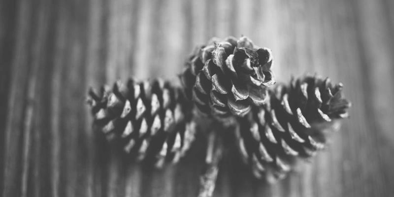 美容护肤应用：从化妆品选择到日常护肤技巧的全方位指南