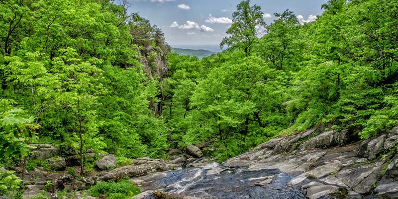自然美容与化妆品：探寻现代美容护肤的平衡之道