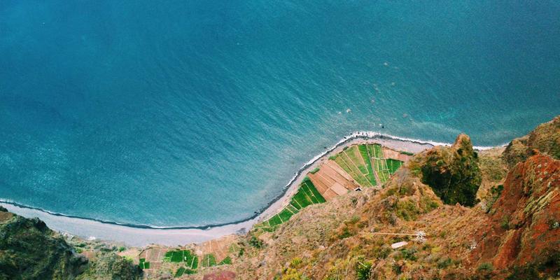 自然美容新浪潮：揭秘B维纳斯如何重新定义化妆品