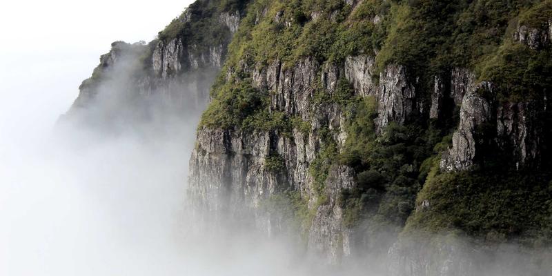 视黄醇（A醇）使用全攻略：从浓度选择到搭配禁忌，解锁自然美容的护肤技巧